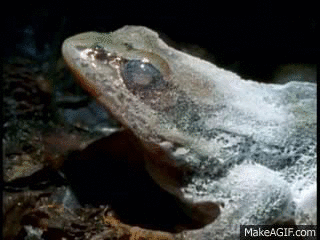 17459153657663.gif