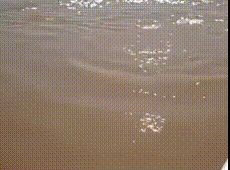 17459303302451.jpg