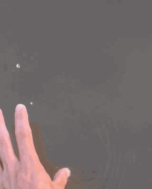 17459303549738.jpg