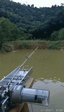 17459303768532.jpg