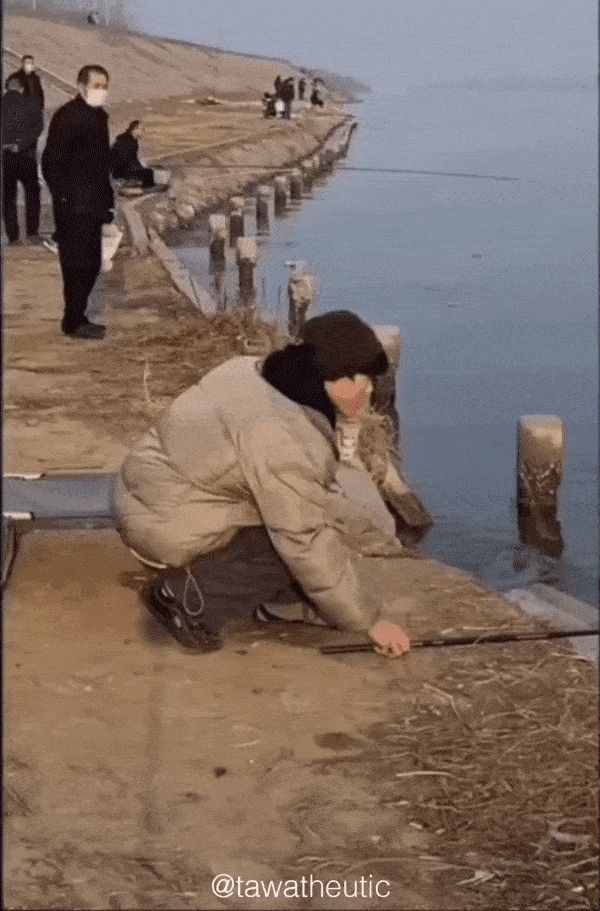 17459304713029.jpg