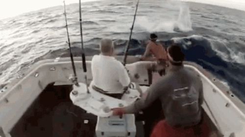 17459304906112.jpg