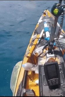 17459305067855.jpg