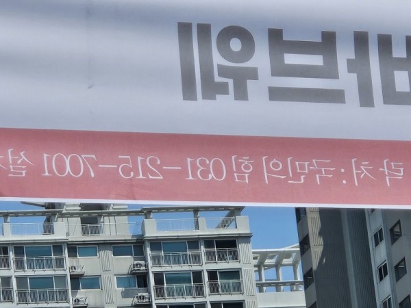 17459300738212.jpg