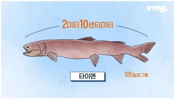 17459303901887.jpg