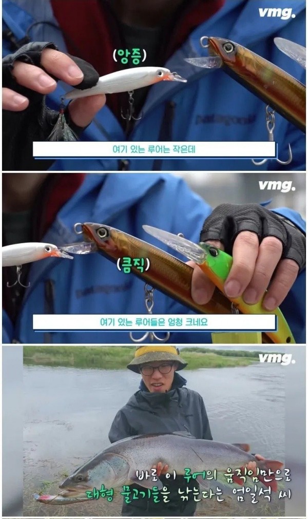 17459303910689.jpg