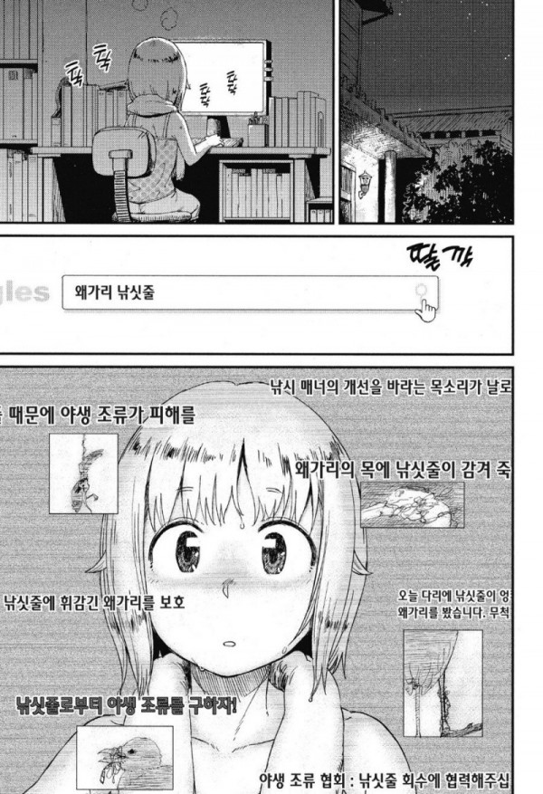 17459304952012.jpg