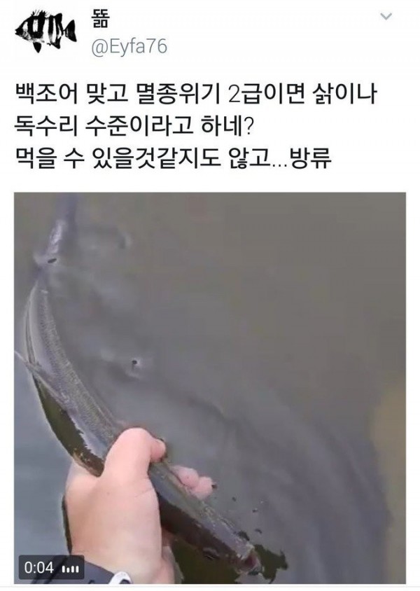 17459305024561.jpg